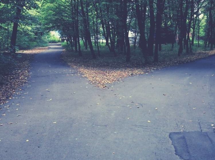 What's the difference between HSP and Empath